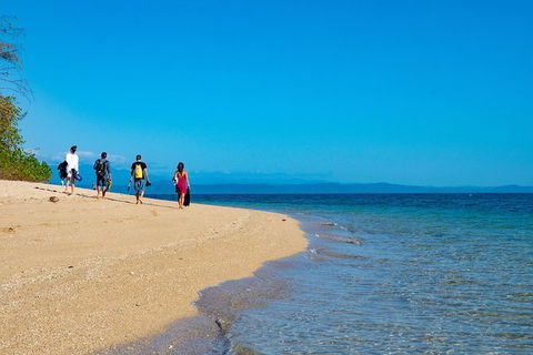 Half Day Low Isles Snorkelling Tour From Port Douglas - Tourism TAS 3