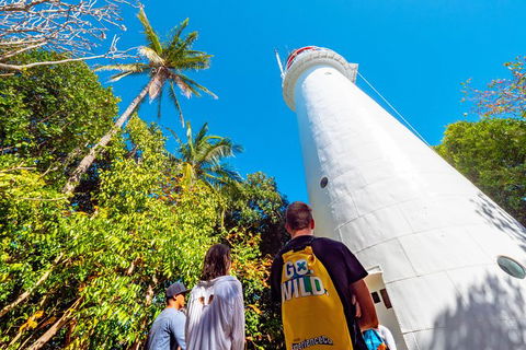 Half Day Low Isles Snorkelling Tour From Port Douglas - Tourism TAS 7