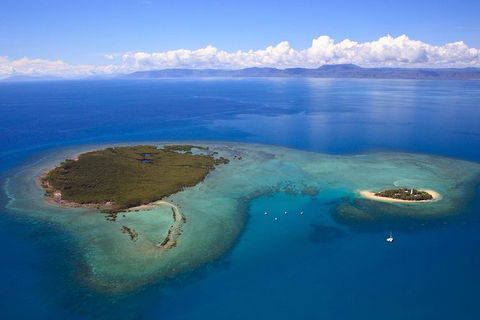 Half Day Low Isles Snorkelling Tour From Port Douglas - Tourism TAS 4
