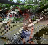 Hartley's Crocodile Adventures Day Trip from Cairns - Tourism TAS