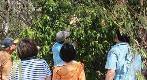 Magnetic Island Tour: Maggie Comprehensive - Tourism TAS 6