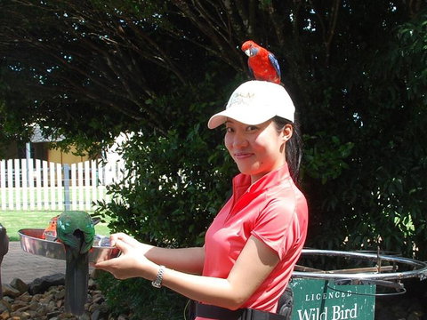 O'Reilly's Lamington National Park And Treetop Canopy Tour - Tourism TAS 5