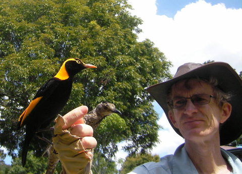 O'Reilly's Lamington National Park And Treetop Canopy Tour - Tourism TAS 4