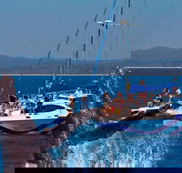 Blue Dolphin Exclusive Whale Watch Encounters - Tourism TAS