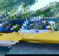 3.5 hour Eco Tour - Tourism TAS