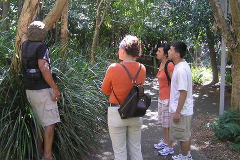 Boomerang Aboriginal Cultural Tours - Hobart Tourism 0