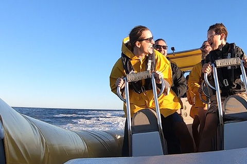 Noosa Oceanrider - Thrill Ride - Hobart Tourism 5