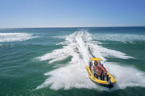 Noosa Oceanrider - Thrill Ride - Hobart Tourism 2