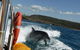 Noosa Oceanrider - Thrill Ride - thumb 4