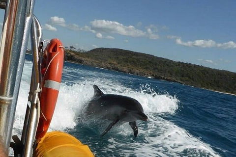 Noosa Oceanrider - Thrill Ride - Hobart Tourism 4