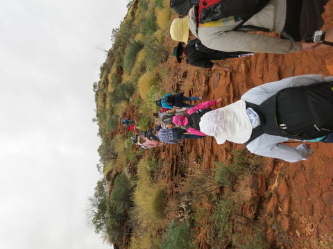 Kings Canyon Day Trip From Ayers Rock - Hobart Tourism 14