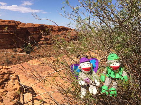 Kings Canyon Day Trip From Ayers Rock - Hobart Tourism 23