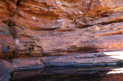 Kings Canyon Day Trip From Ayers Rock - Hobart Tourism 16