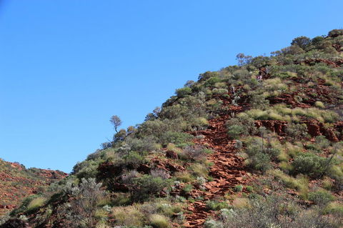 Kings Canyon Day Trip From Ayers Rock - Hobart Tourism 21