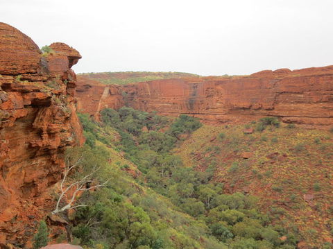Kings Canyon Day Trip From Ayers Rock - Hobart Tourism 13