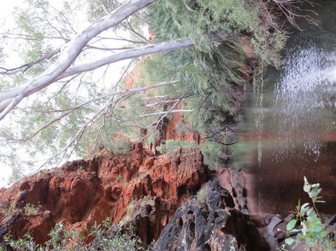 Kings Canyon Day Trip From Ayers Rock - Hobart Tourism 11