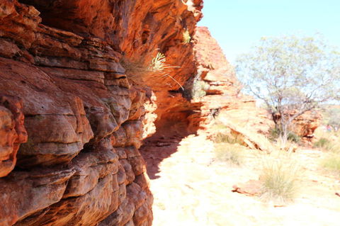 Kings Canyon Day Trip From Ayers Rock - Hobart Tourism 20
