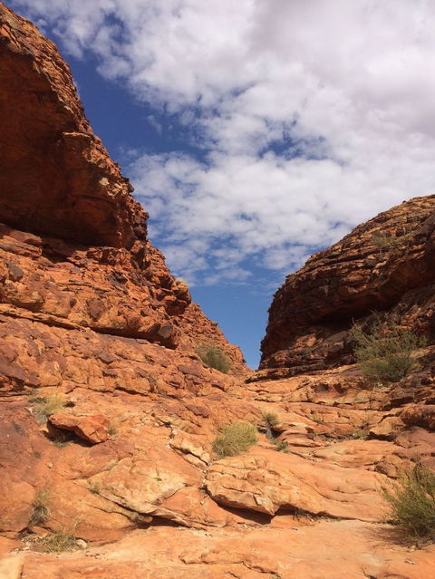 Kings Canyon Day Trip From Ayers Rock - Hobart Tourism 25