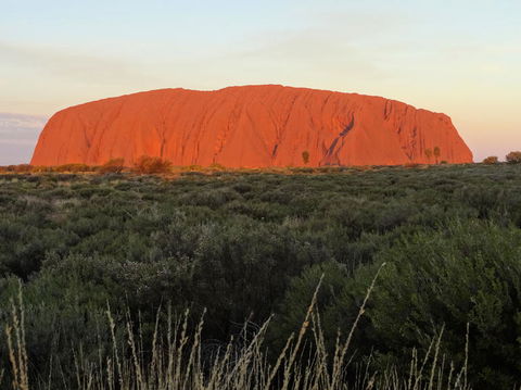Uluru (Ayers Rock) Sunset With Outback Barbecue Dinner And Star Tour - Tourism TAS 5
