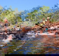 Litchfield and Jumping Crocodiles Full Day Trip from Darwin - Hobart Tourism