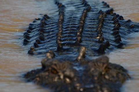 Darwin Jumping Crocodiles Cruise On Adelaide River - Hobart Tourism 1