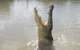 Darwin Jumping Crocodiles Cruise On Adelaide River - thumb 5