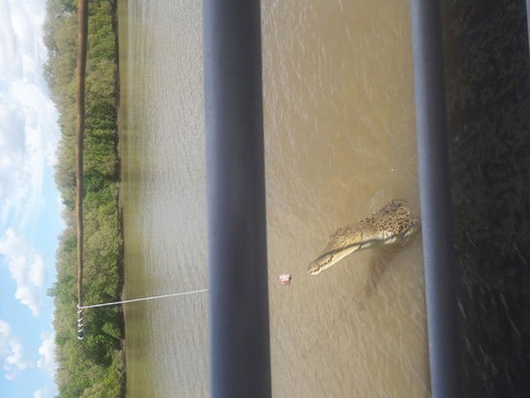 Darwin Jumping Crocodiles Cruise On Adelaide River - Hobart Tourism 3