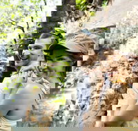 Small-Group Litchfield National Park Day Trip from Darwin - Hobart Tourism