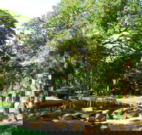 Darwin Afternoon Sightseeing Tour - Hobart Tourism