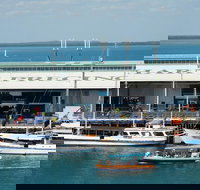 Darwin Harbour Bombing of Darwin Cruise - Hobart Tourism