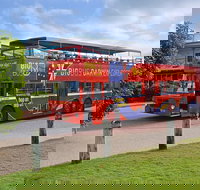 Darwin Shore Excursion Hop-on Hop-off Bus Tour - Hobart Tourism