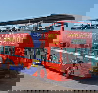 Darwin Hop-on Hop-off Bus Tour - Hobart Tourism