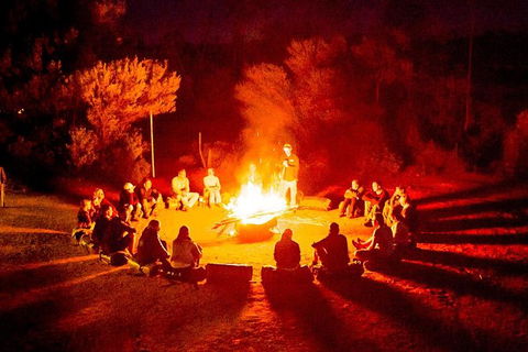4-Day Red Centre Camping Safari From Alice Springs Or Ayers Rock Including Kings Canyon - Tourism TAS 0