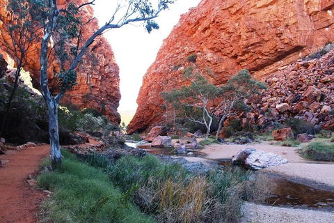 Half Day MacDonnell Ranges Small Group - Private Guided Tour - Tourism TAS 0
