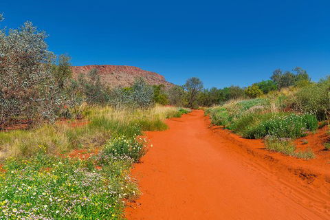 Alice Springs Desert Park General Entry Ticket - Tourism TAS 7