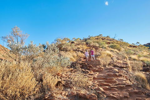 Kings Canyon Guided Rim Walk - Tourism TAS 5
