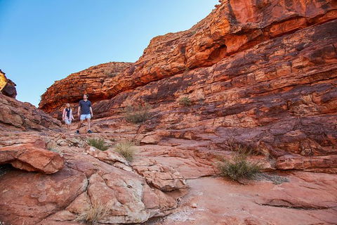 Kings Canyon Guided Rim Walk - Tourism TAS 4