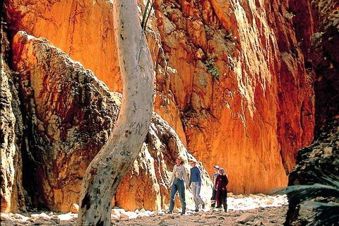 West MacDonnell Ranges Day Trip From Alice Springs - Hobart Tourism 7