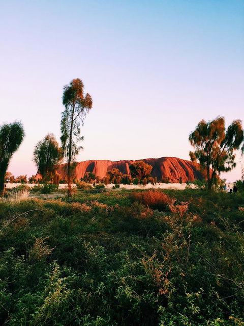 Uluru & Kata Tjuta Sights & Sounds - Tourism TAS 3