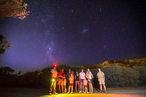 Alice Springs Desert Park Nocturnal Tour - Tourism TAS 1