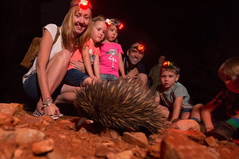 Alice Springs Desert Park Nocturnal Tour - Tourism TAS 5
