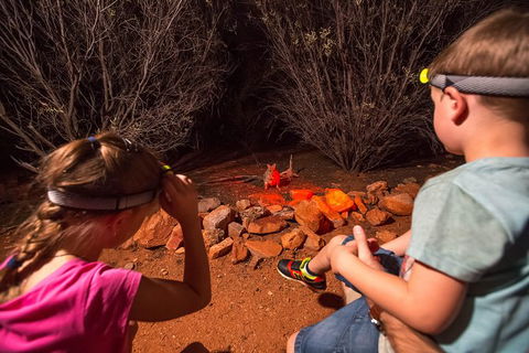 Alice Springs Desert Park Nocturnal Tour - Tourism TAS 3