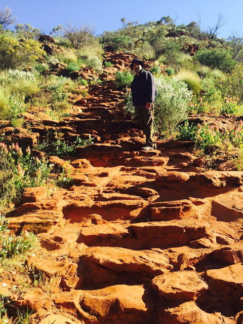 4-Day 4WD Camping Tour: Uluru, Kata Tjuta, And Kings Canyon - Hobart Tourism 2