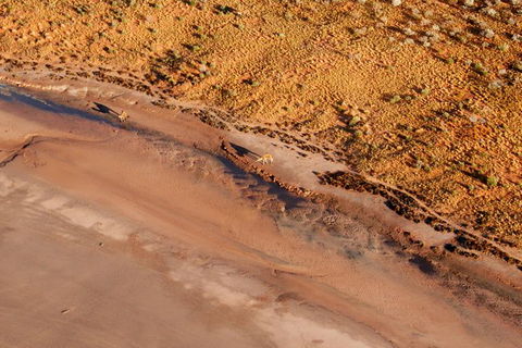 Scenic Flight: Lizard Safari - Hobart Tourism 1