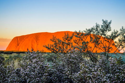 Uluru Sunrise And Kata Tjuta Half Day Trip - Hobart Tourism 2