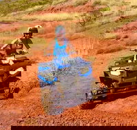 Aussie Outback Air and Land Tour Including Quad Bike Ride - Hobart Tourism