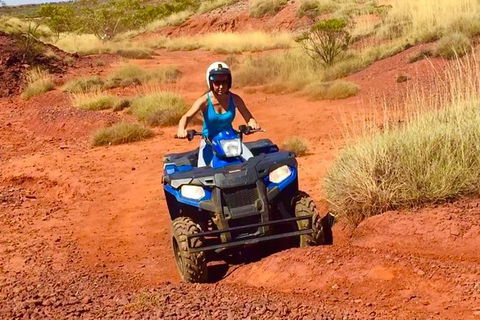 Aussie Outback Air And Land Tour Including Quad Bike Ride - Tourism TAS 0