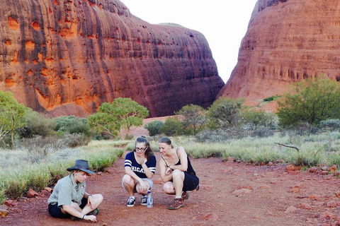 Afternoon Kata Tjuta Small Group Tour - Tourism TAS 7