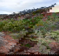 Palm Valley and Hermannsburg 1 Day 4WD Tour - Tourism TAS