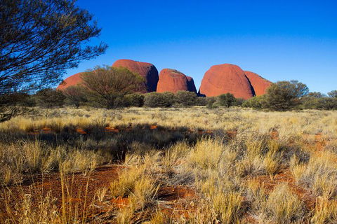 Kata Tjuta Sunrise And Valley Of The Winds Half-Day Trip - Hobart Tourism 11
